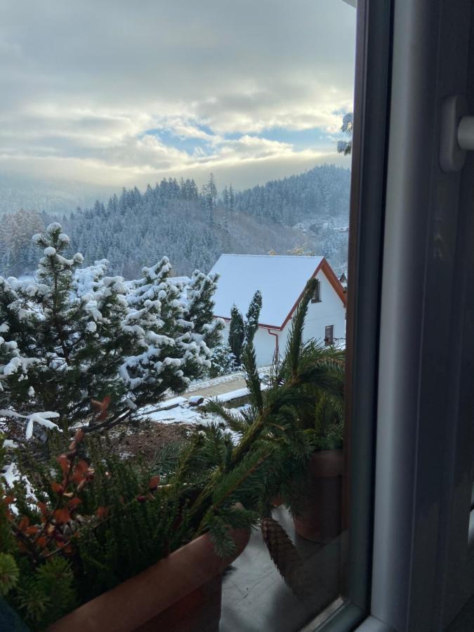 Apartment Cerla